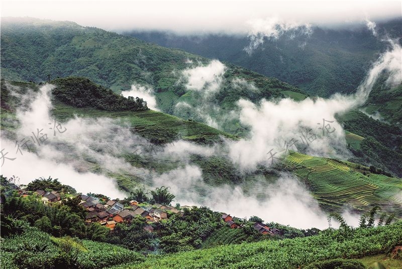 臨滄滄源旅游