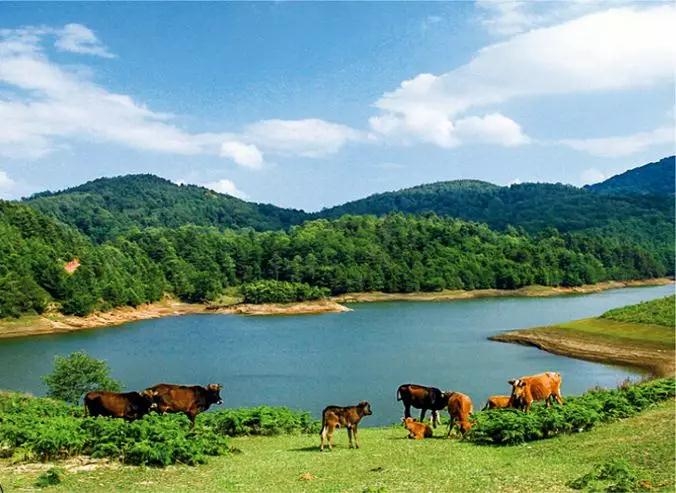 云南臨滄云縣亮山天池平河水庫(kù)戶外拓展基地