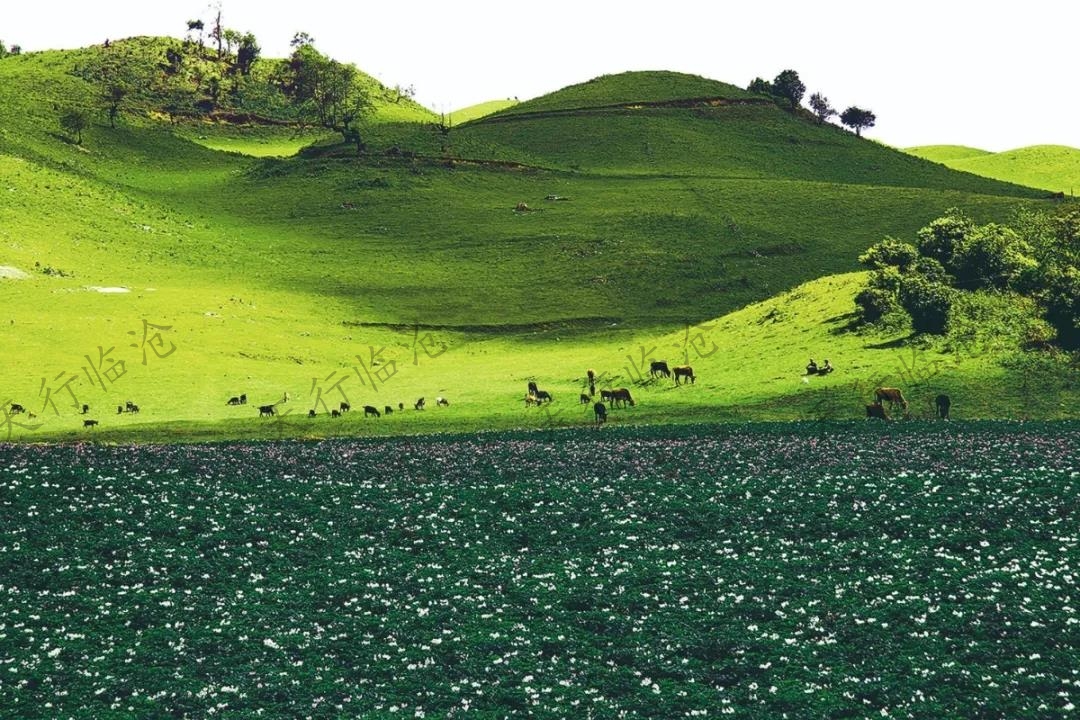 臨滄景點(diǎn)—正覺庵水庫旅游勝地  是臨滄旅游值得探訪的地方