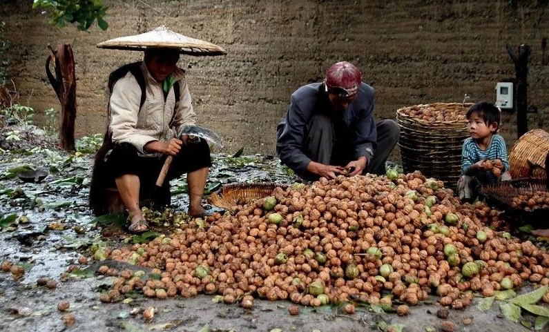 臨滄旅游