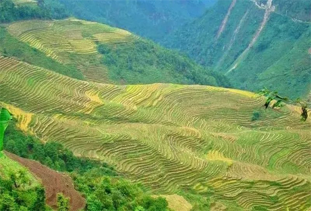 臨滄人游臨滄 | 在臨滄我找到了層巒疊翠的梯田美景