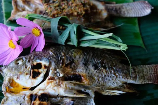 尋味臨滄 | 羅非魚(yú)的三種吃法